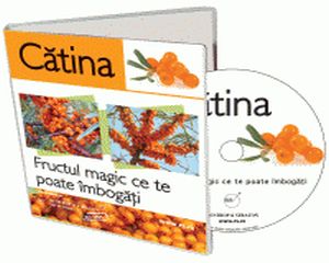 Catina si ceaiul de catina - remediu naturist pentru diverse boli si afectiuni