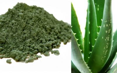 Chlorella, spirulina si aloe vera, superalimente care nu trebuie sa iti lipseasca din camara