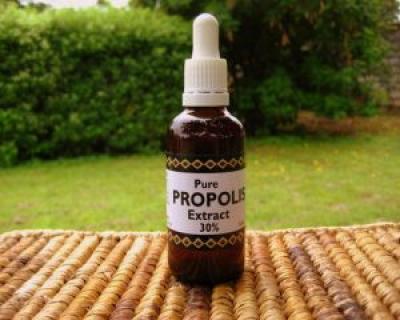 Ce boli si afectiuni putem trata cu propolis