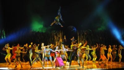 Spectacole de top in 2012: Red Hot Chili Peppers si Cirque du Soleil