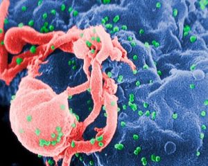 Revolutie medicala: Primul bebelus vindecat de HIV!