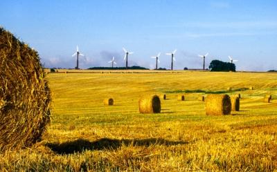 Desi avem cel mai dezvoltat sectorul eolian din Europa, Romania mai poate atrage investitii de peste 5 miliarde de euro in acest domeniu, pana in 2013