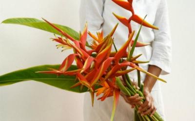 Aranjamentele florale - ingrijirea si alegerea vazelor potrivite pentru florile exotice