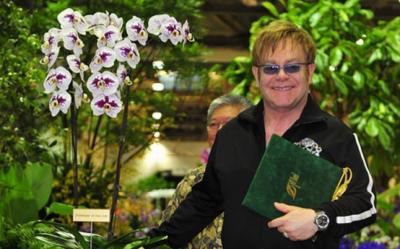 Elton John are o orhidee care ii poarta numele