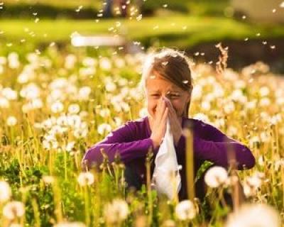 15 trucuri cu ajutorul carora poti combate alergiile