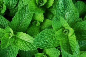 4 ceaiuri din plante medicinale pentru zile caniculare