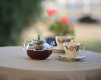 Ceaiul de salvie: top 5 beneficii pentru sanatate