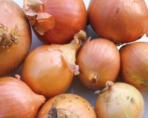 Dr. Oz: 5 alimente uimitoare care te feresc de cancer