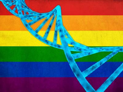 Homosexualitatea nu se gaseste intr-o gena din ADN, releva un studiu