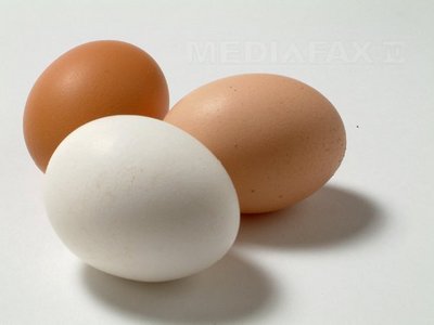 Cum iti dai seama daca ouale sunt proaspete?