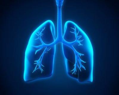 Remediu natural pentru astm, bronsite si alergii