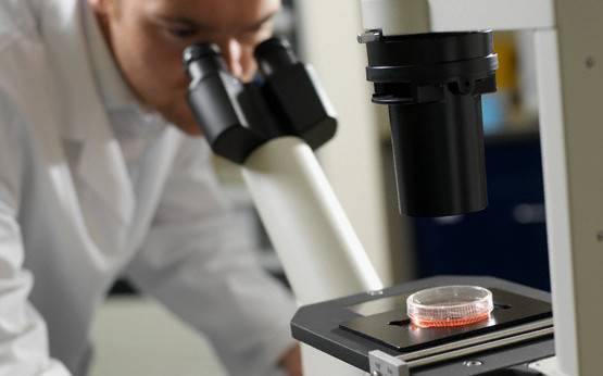 Romania, printre primele tari europene afectate de reaparitia epidemiei de rujeola