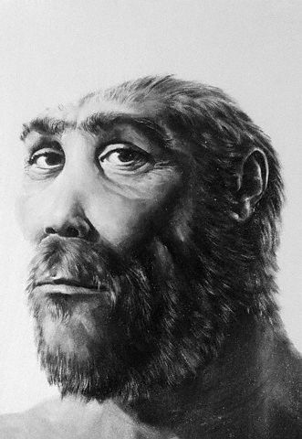 Fata in fata cu stramosii nostrii: a fost descoperita veriga lipsa de la maimute la homo sapiens?