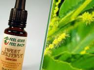 Cele 38 de remedii florale Bach - 7