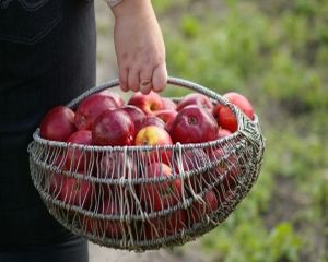 Fericirea vine dupa ce mananci