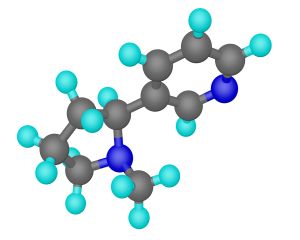 Ministerul Sanatatii a lansat primul Plan National de Control al Cancerului