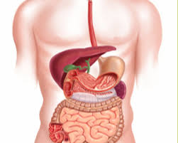 Problemele digestive au solutii simple