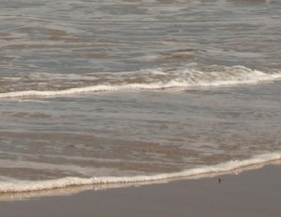 Cu bunul simt la mare