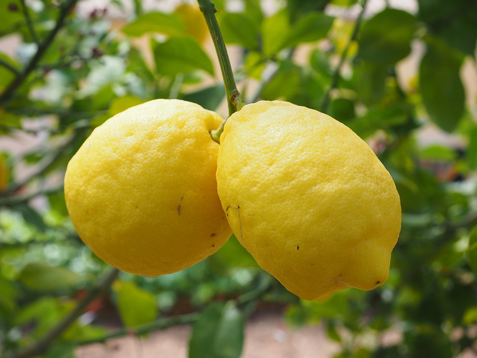 Slabeste cu limonada! Dieta care te slabeste in ritm alert