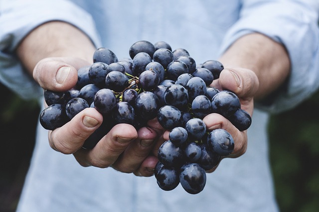 7 sfaturi esentiale pentru un organism super sanatos!