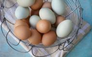 Ziua Mondiala a Oualor, World Egg Day, sarbatoarea tuturor iubitorilor de oua, omlete si alte derivate