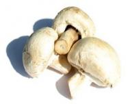 3 retete de post cu ciuperci