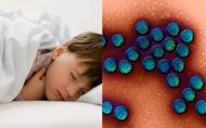 Infectia cu Rotavirus: ce este, cum se transmite, ce simptome are si cum se trateaza