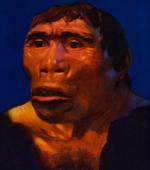 Homo erectus, primul bucatar al omenirii, manca alimente gatite