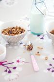 Cereale pregatite in casa: granola cu ciocolata