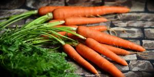 Beneficiile morcovilor - De ce este recomandat sa mananci morocovi