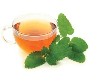 Ceaiul de roinita - top 4 beneficii pentru sanatate