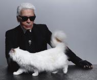 Pisica lui Karl Lagerfeld a dat primul interviu