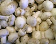 Reteta zilei - Sos de hrean cu ciuperci
