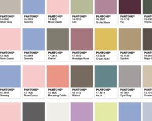 Rose Quartz si Serenity, culorile oficiale ale anului 2016