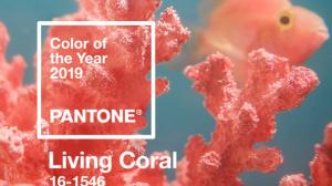 S-a aflat culoarea anului 2019 - Institutul Pantone a facut anuntul