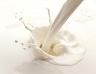 Cercetare Harvard: Laptele degresat nu este bun