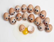 5 motive destepte pentru a manca oua