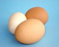 5 Motive pentru a consuma oua BIO