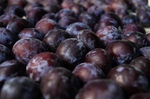 Ce beneficii are consumul de prune pentru intreg organismul!
