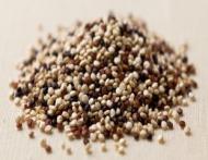 Quinoa, aurul incasilor