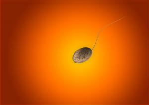 Lucruri importante despre ovulatie