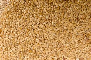 De ce este recomandat sa consumi seminte de susan cand tii cura de slabire?